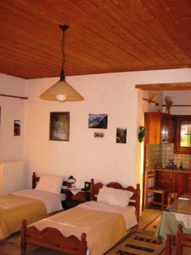Ενοικιαζόμενα Δωμάτια Γερακοφωλιά Κόνιτσα Εξωτερικό φωτογραφία